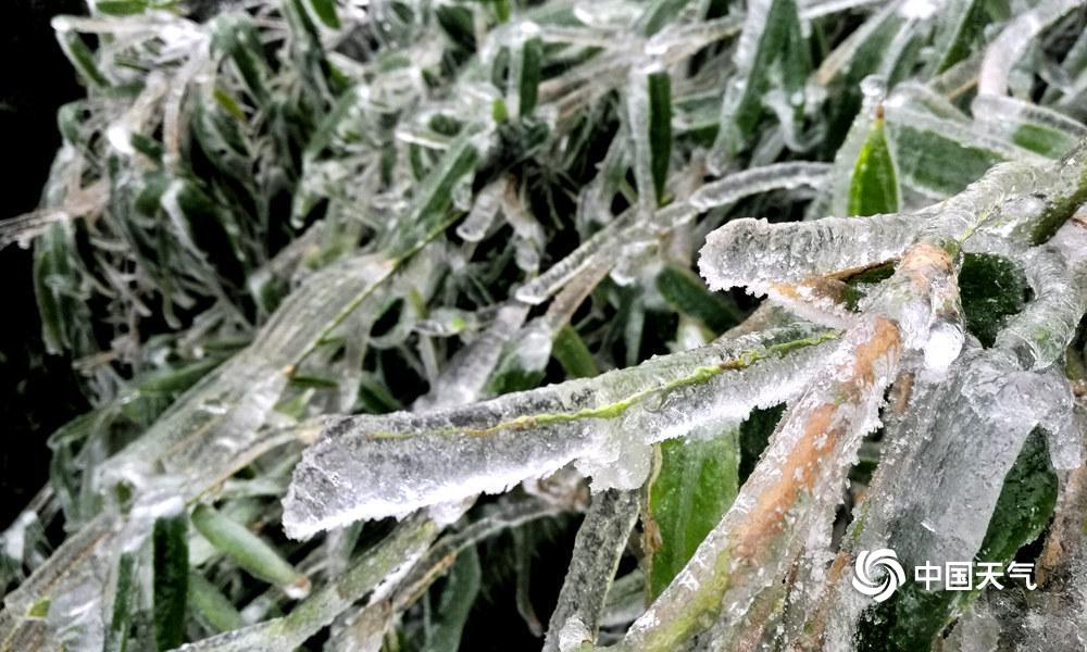 隆冬持续无日照破纪录 隆冬持续无日照破纪录